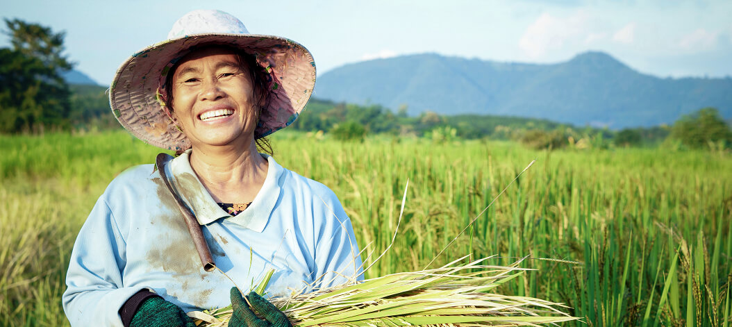 ការណែនាំបច្ចេកទេសនៅតំបន់កសិកម្ម