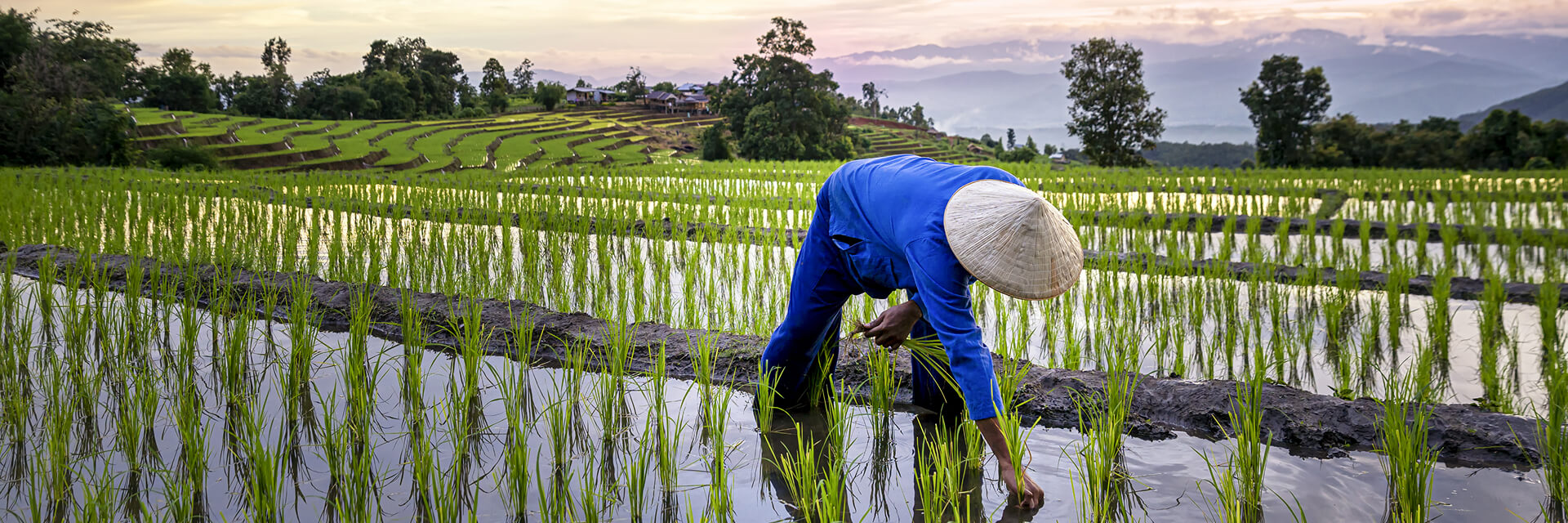 អំពីយើង